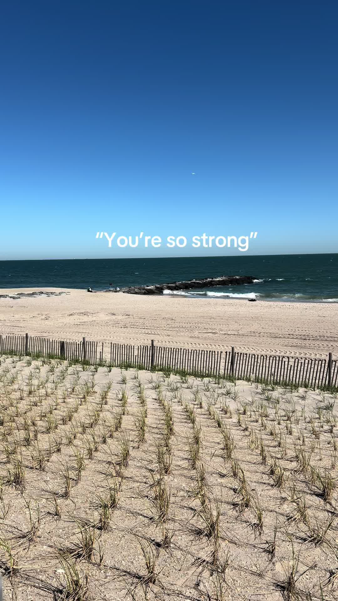 @Jess Logan