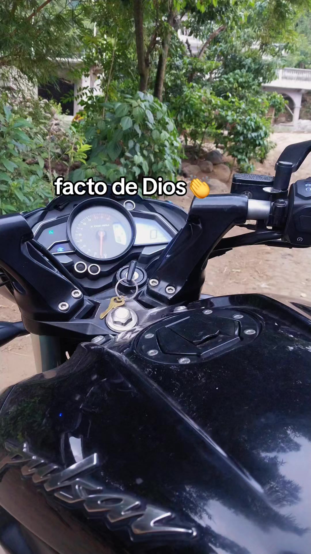 @frank Tzep Quemá🦁