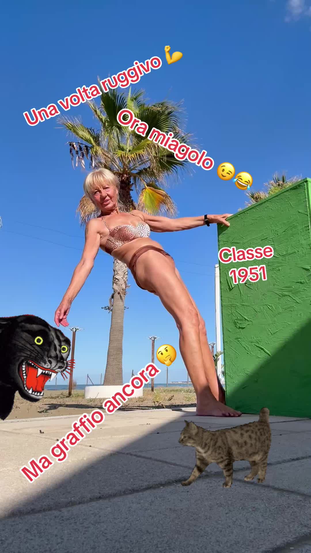 @Lia