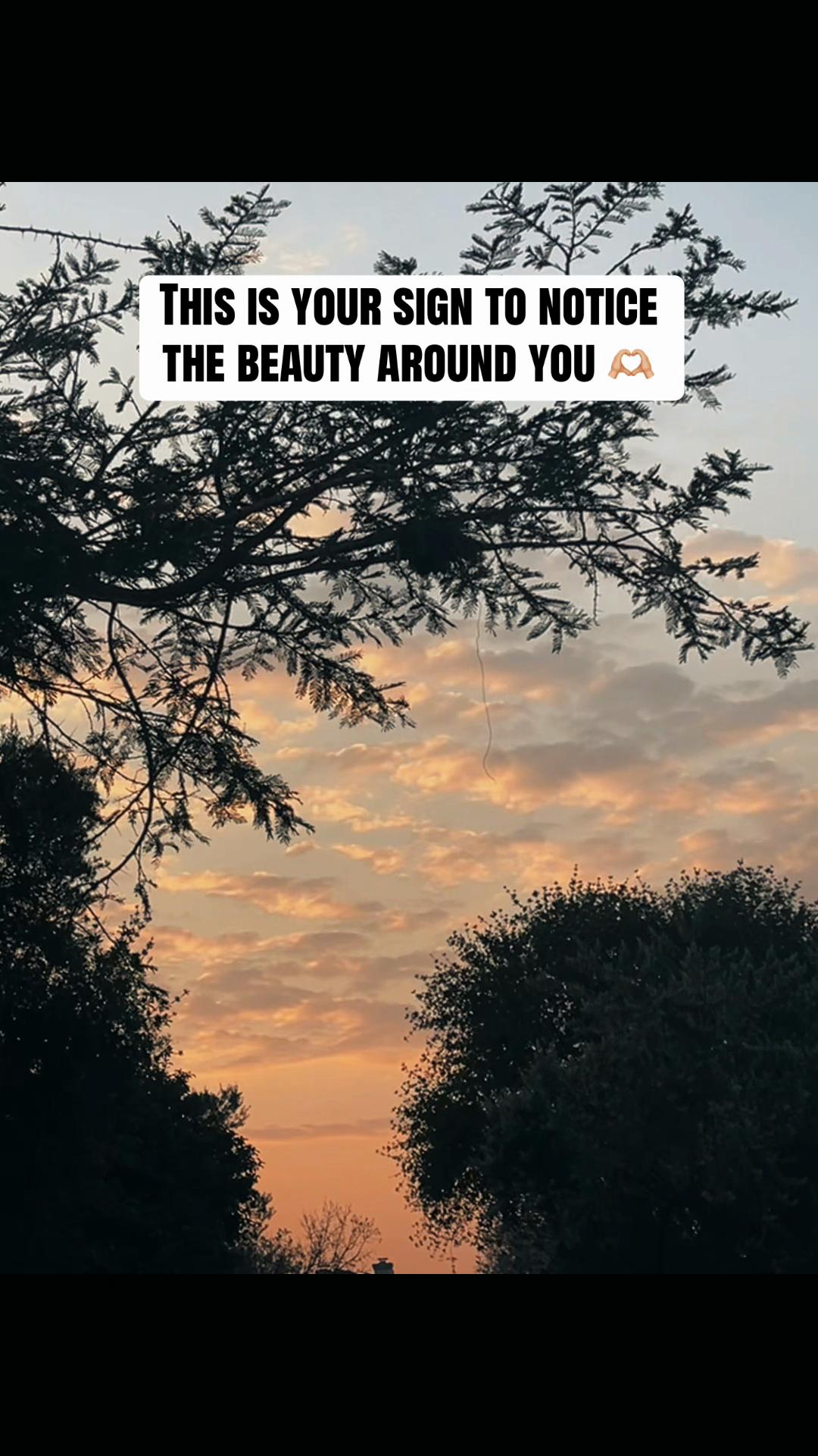 @Natz | Content Creator 🇿🇦