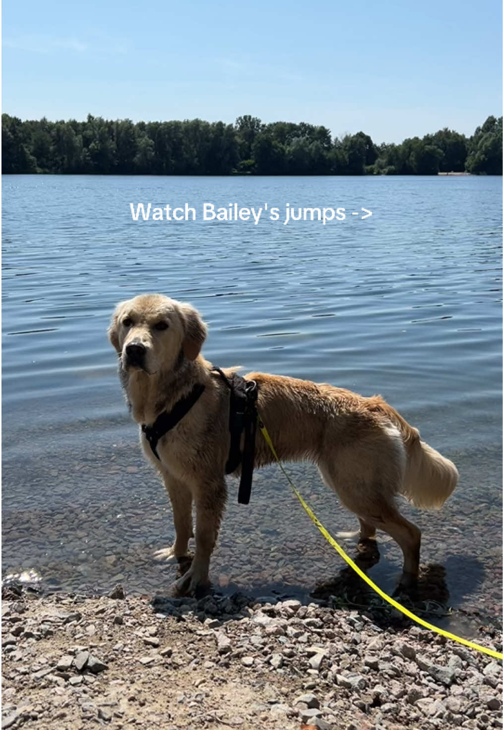 @Bailey