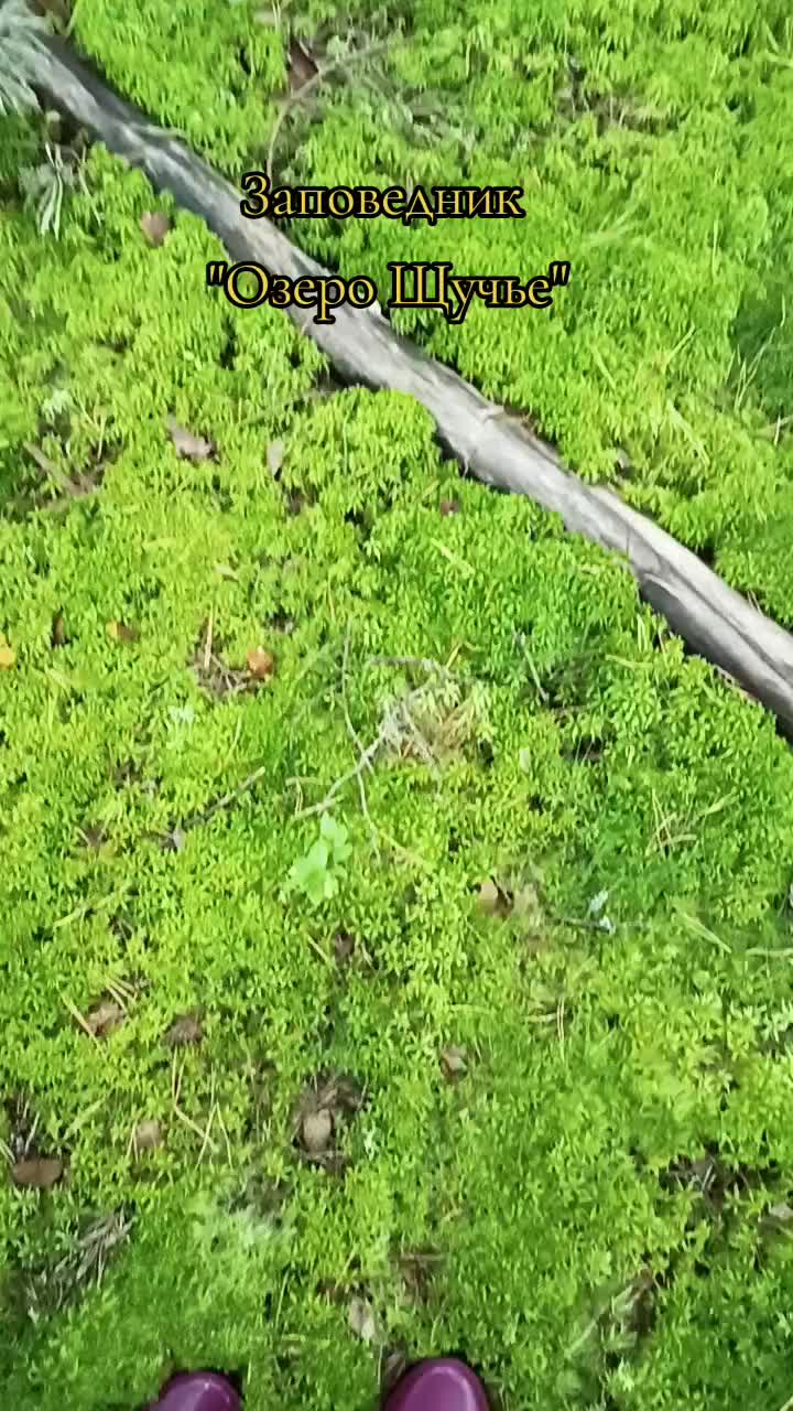 @user2278096979685