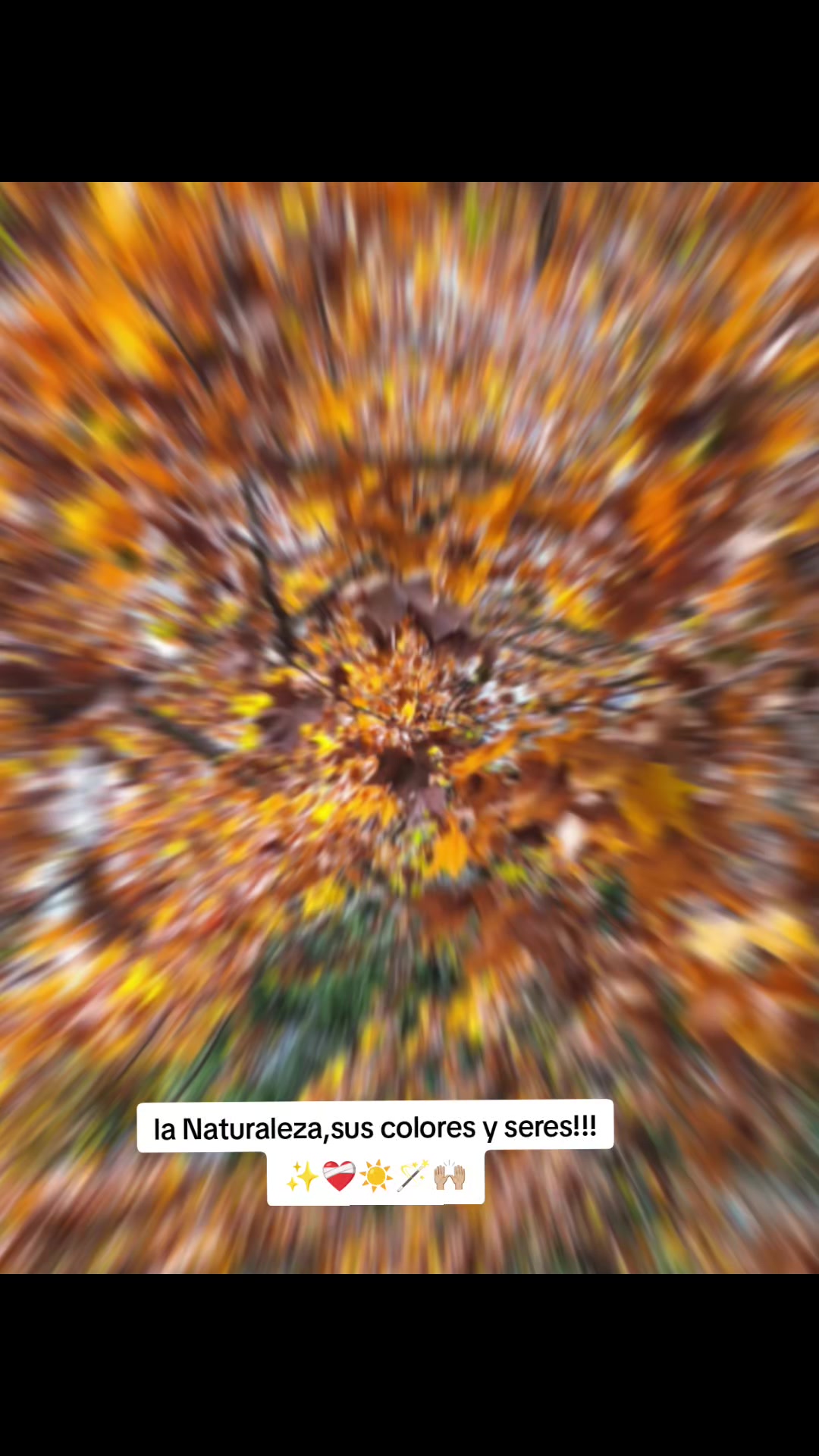 @Silvia