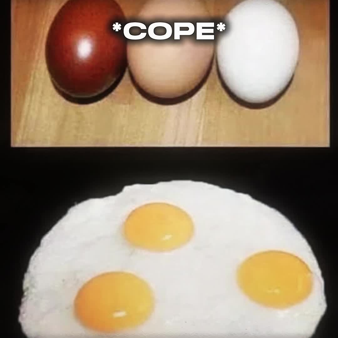 @๐๐๐๐๐๐๐