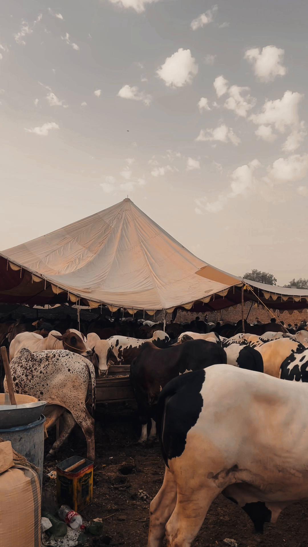 @عزیز الرحمان