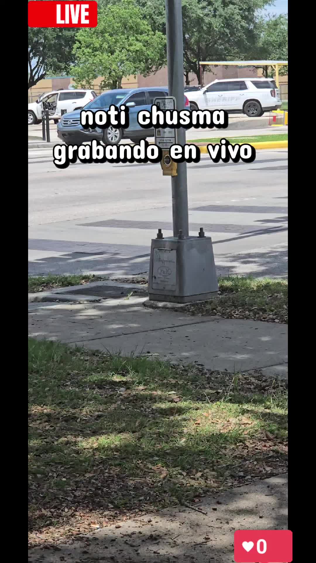 @🐝yansi🦋vasquez