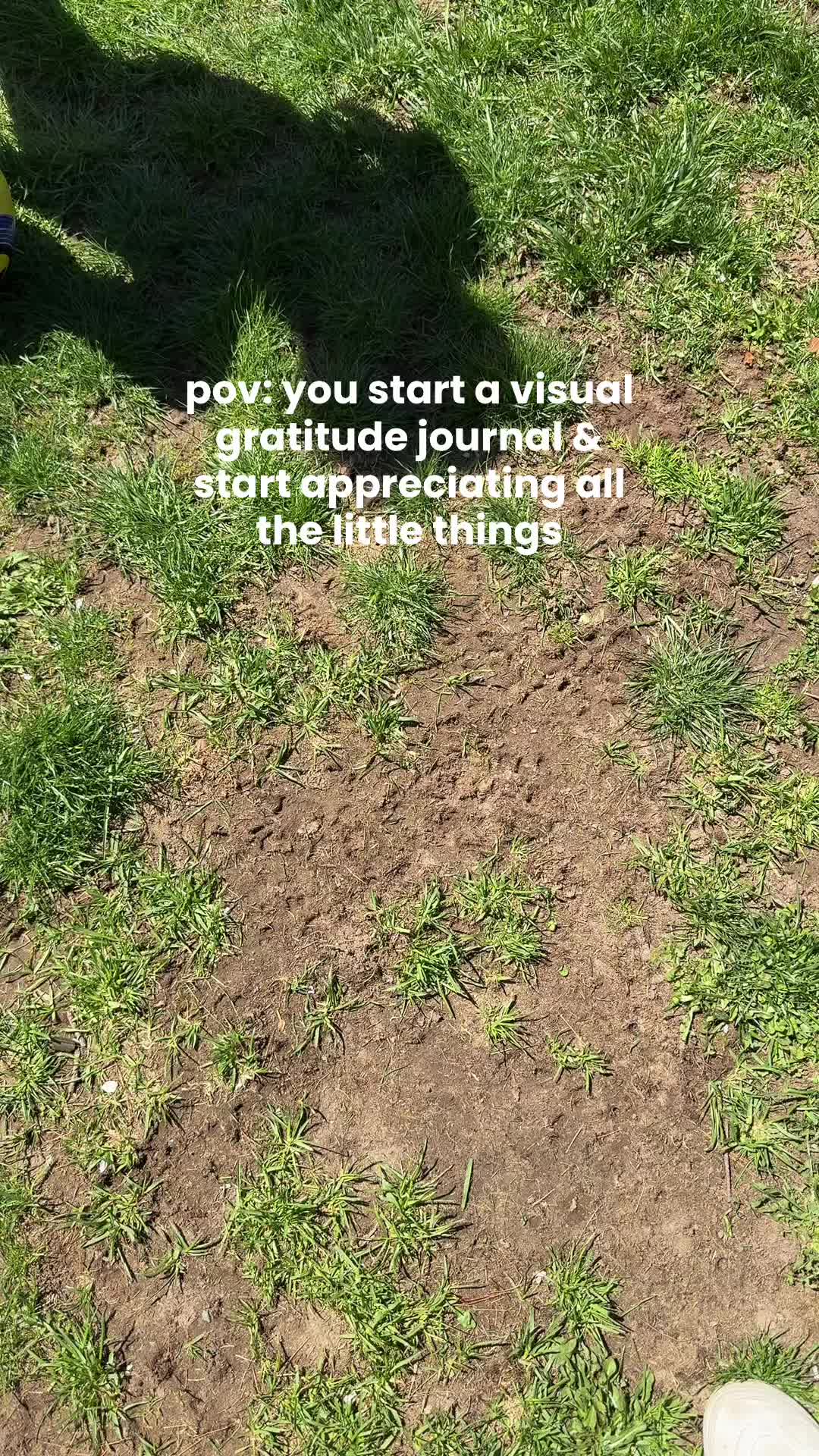 @Jessie | Creator Motivator