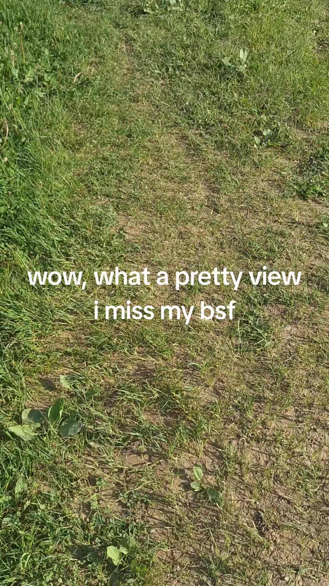 @vxyn