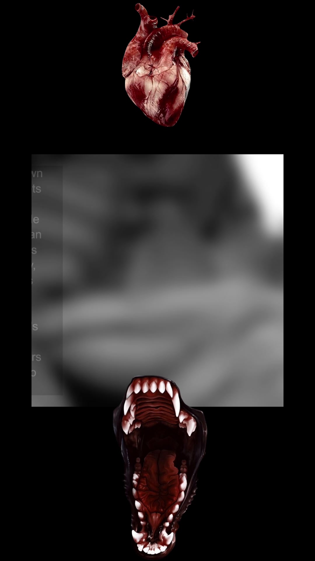 @rot ₊˚⊹ 𐂯