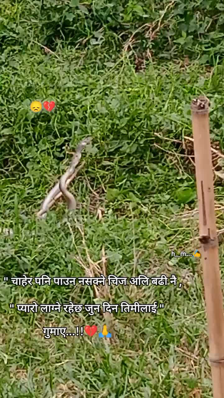 @radhe radhe🫶🫶🫀🫀