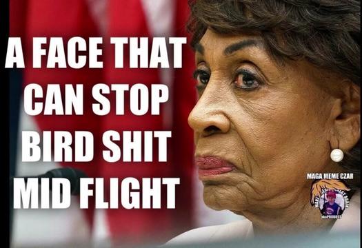 @MAGA MEME CZAR