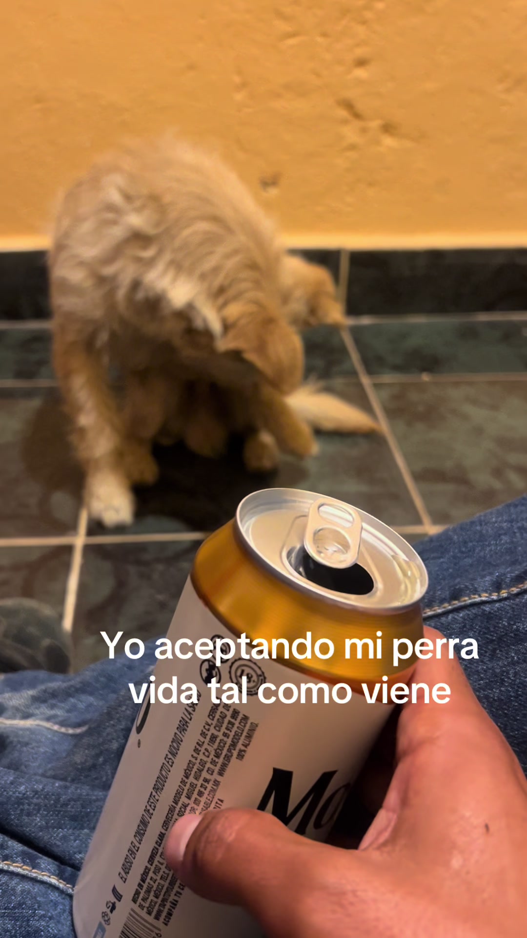 @Victor Sánchez