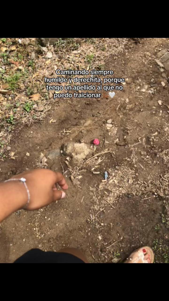 @gabyvasquez1086