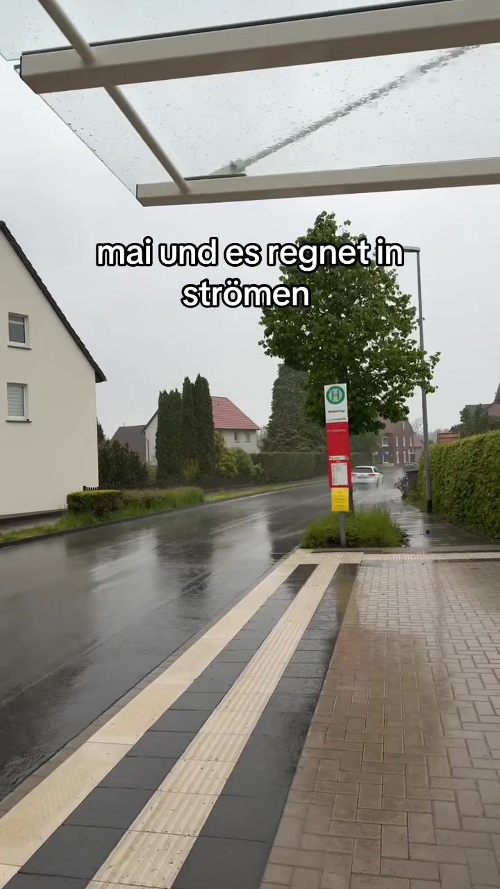 @stella