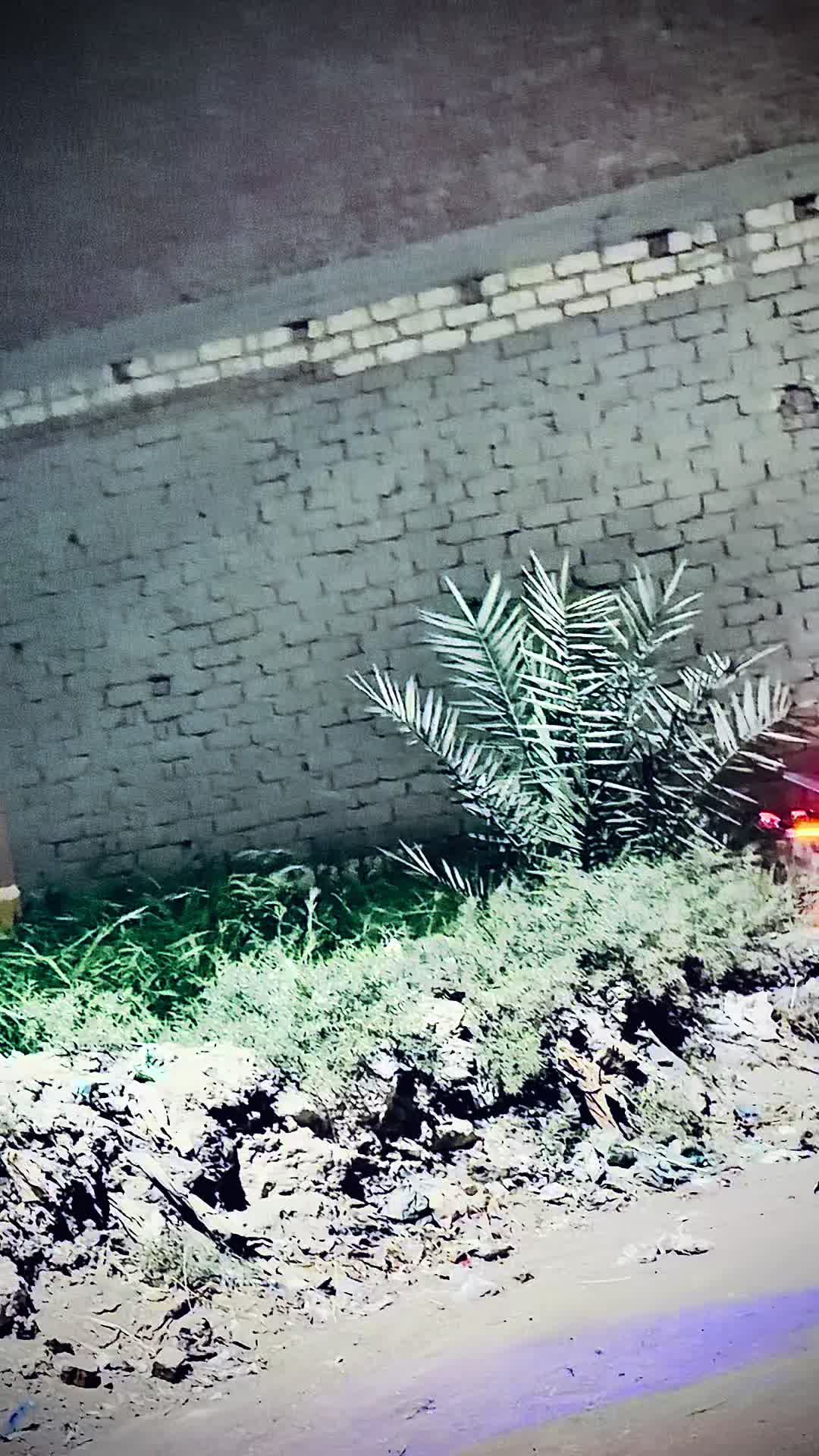 @_momo_vp