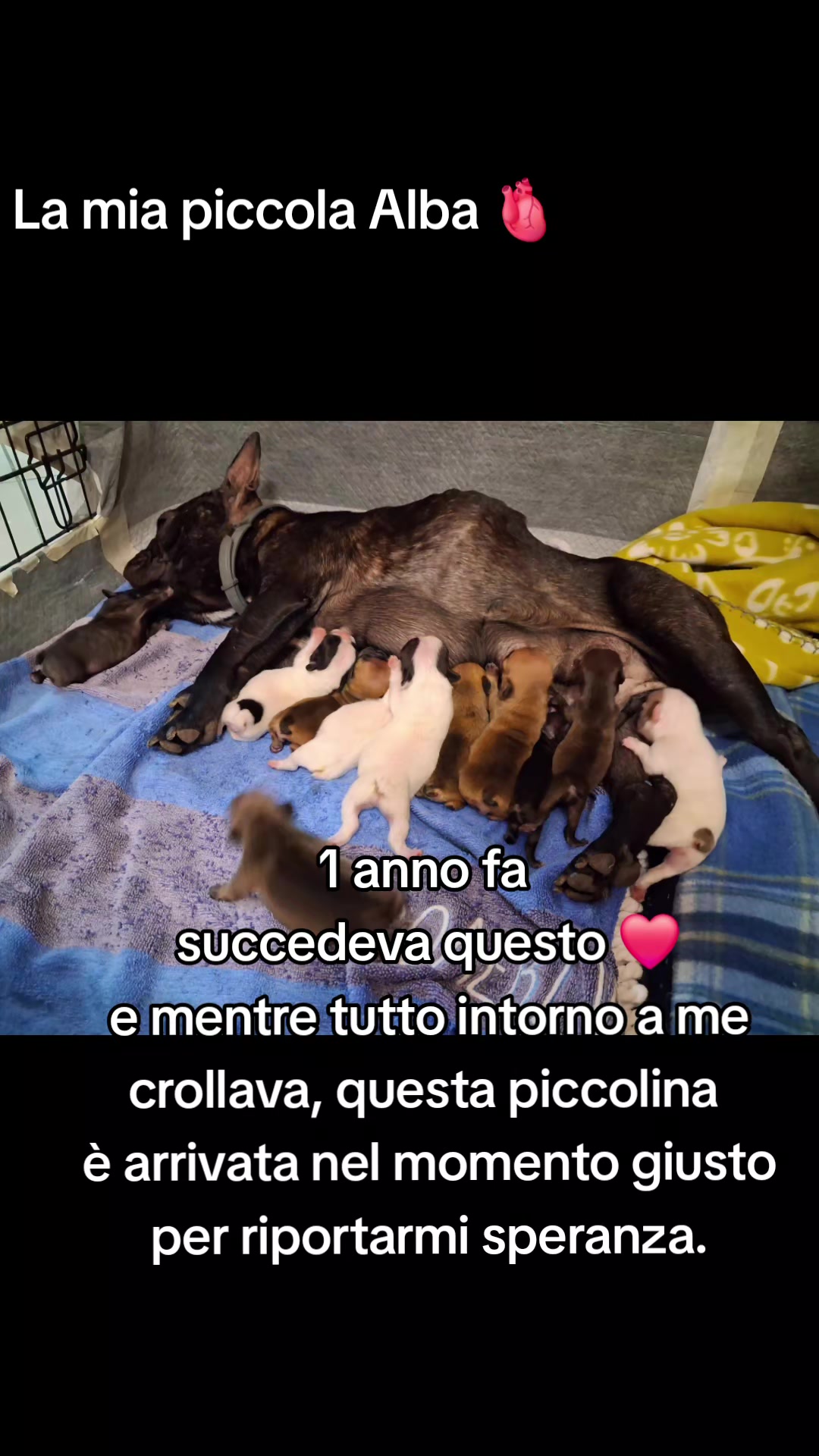 @Emilia Grieco