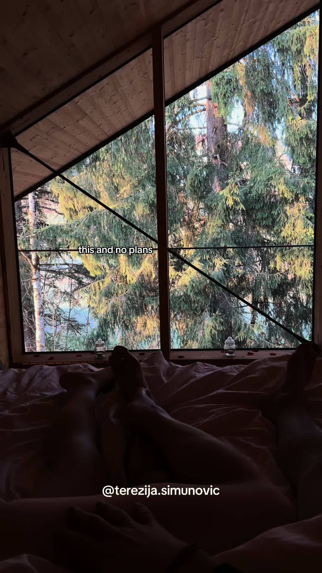 @Terezija 🌹