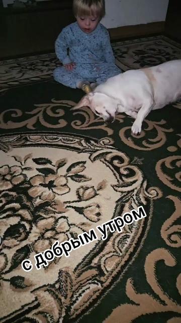 @🐍ВИКондА🐍