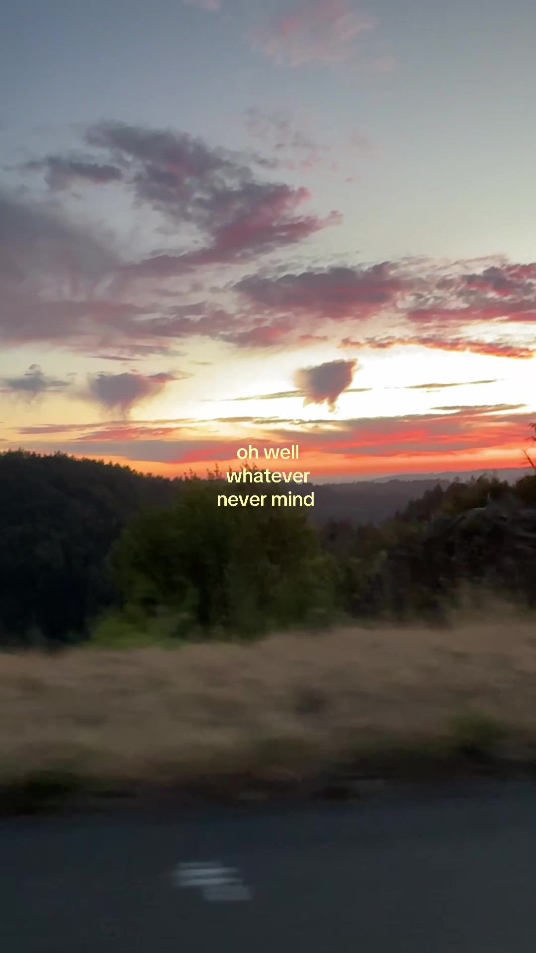 @sadie ☀︎︎