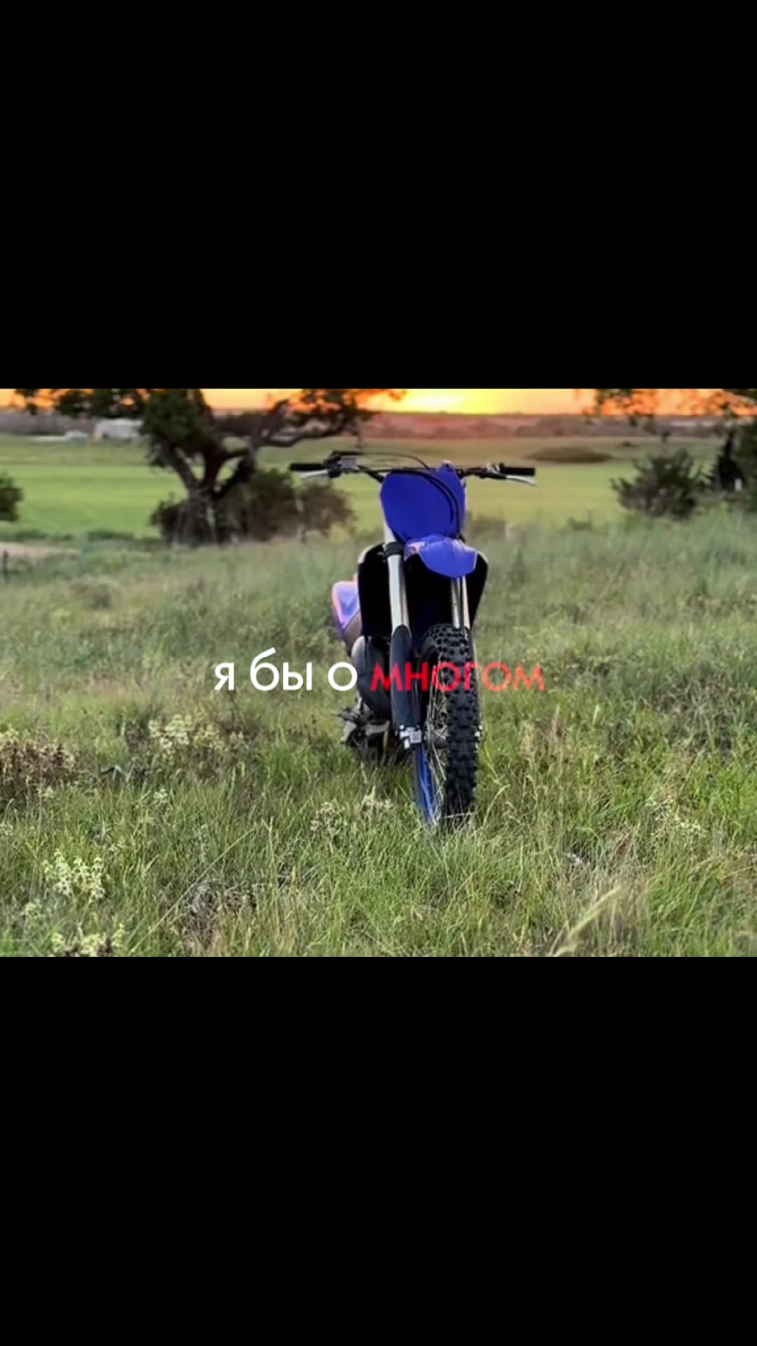 @Богучарскийpanteravod