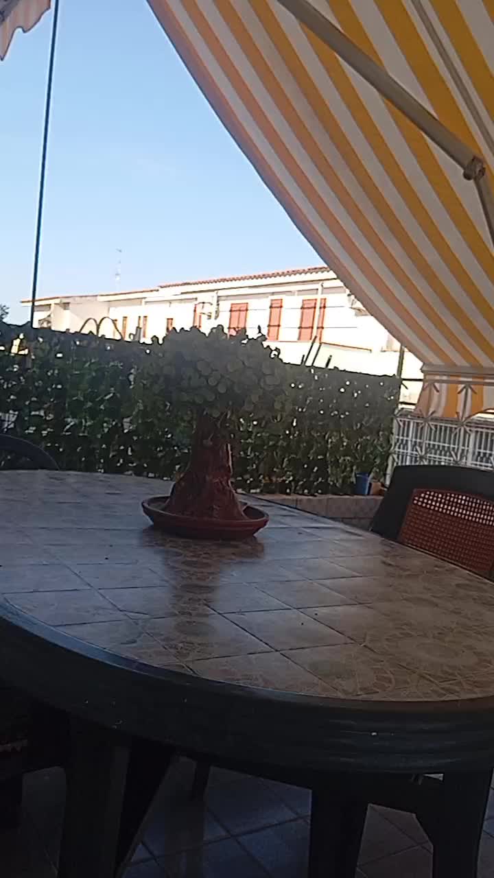 @annabionda70