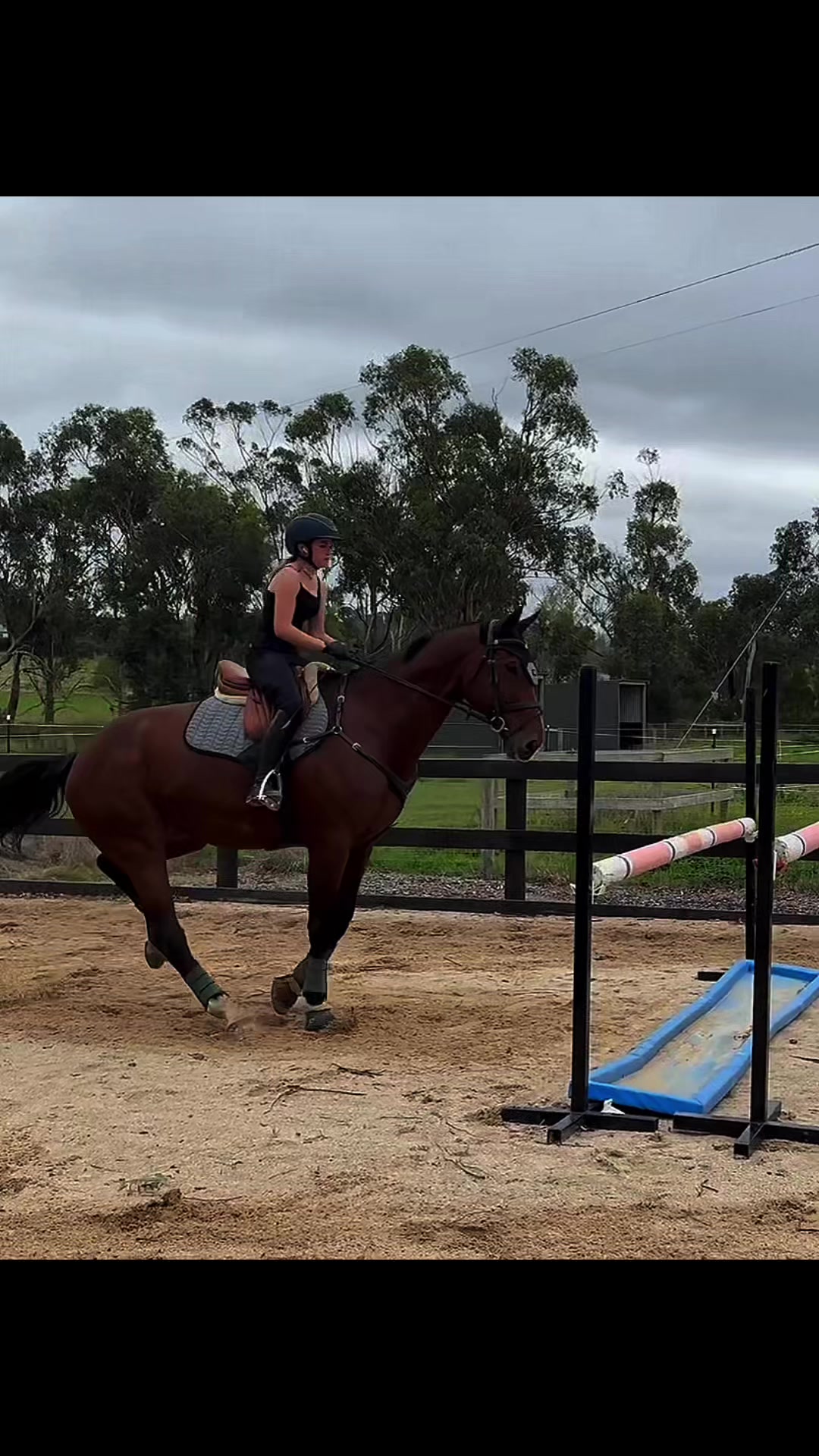 @Imi_.equestrian