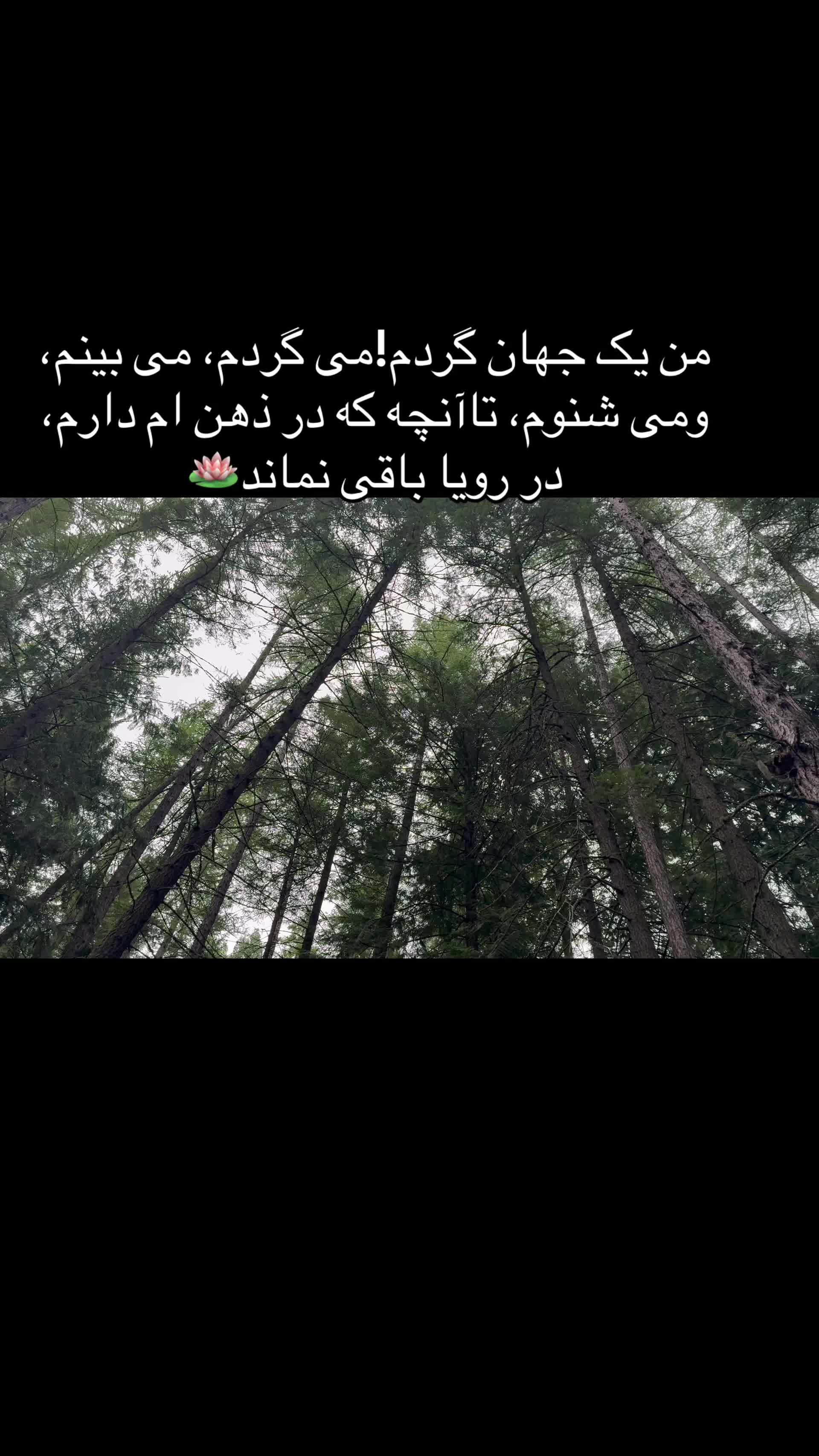 @LS🎤📸_ Shirzad📚✍