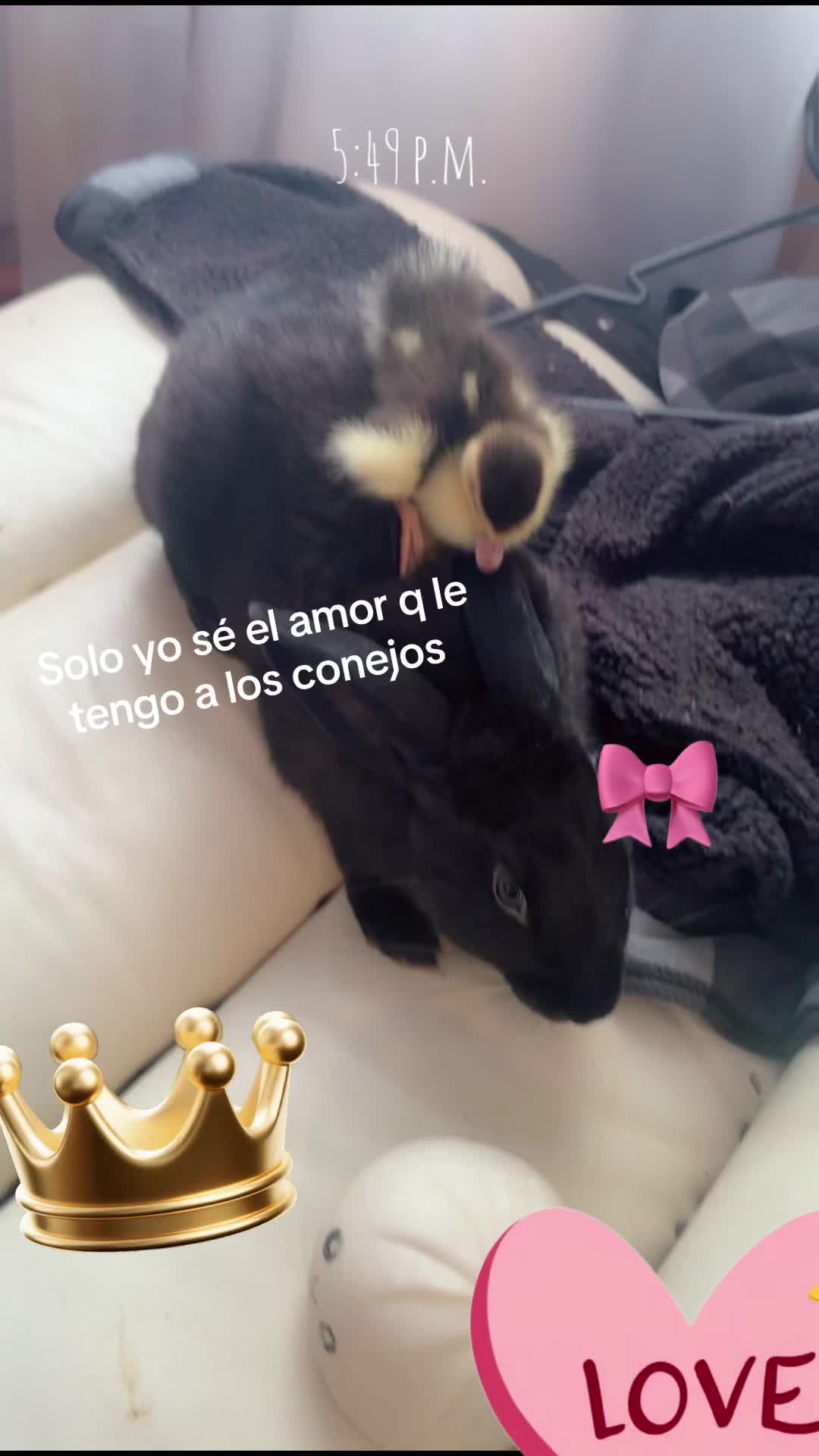@Karla Medina