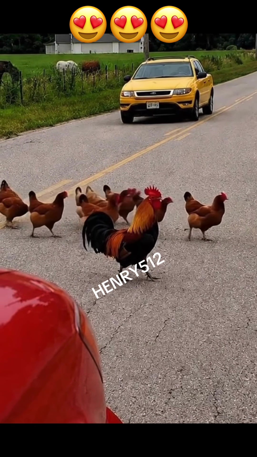@HENRY512