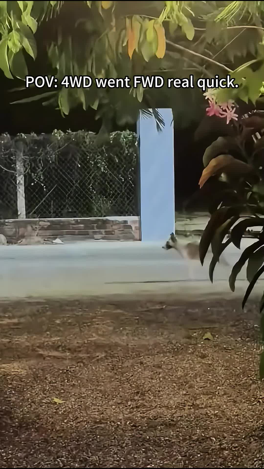 @petpro69