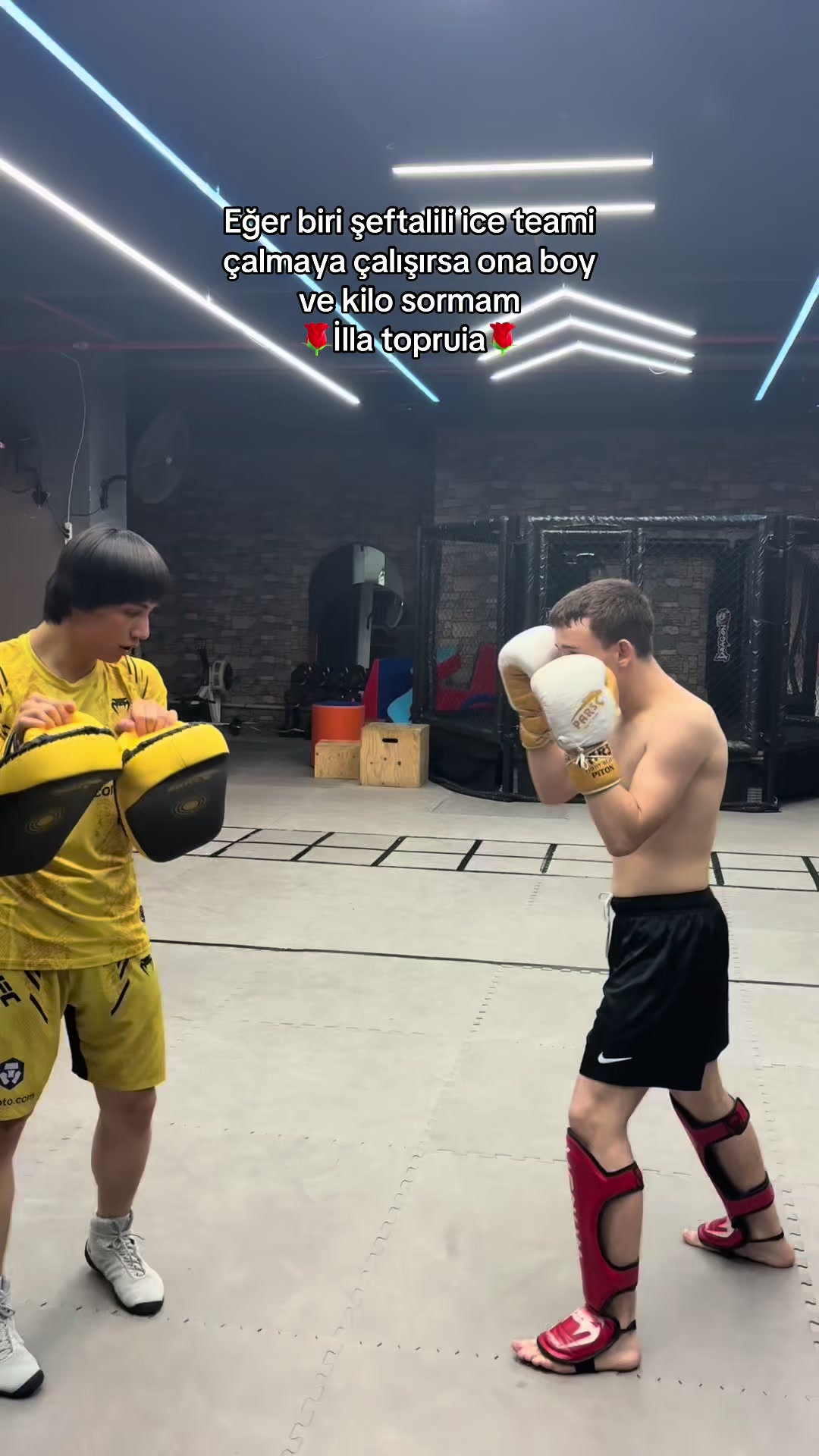@alpmiracc