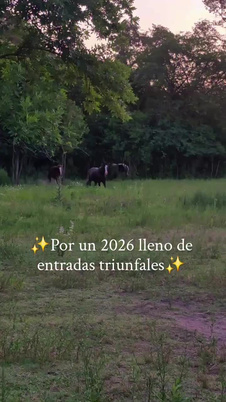 @🍃🪻ElDespertar🌾