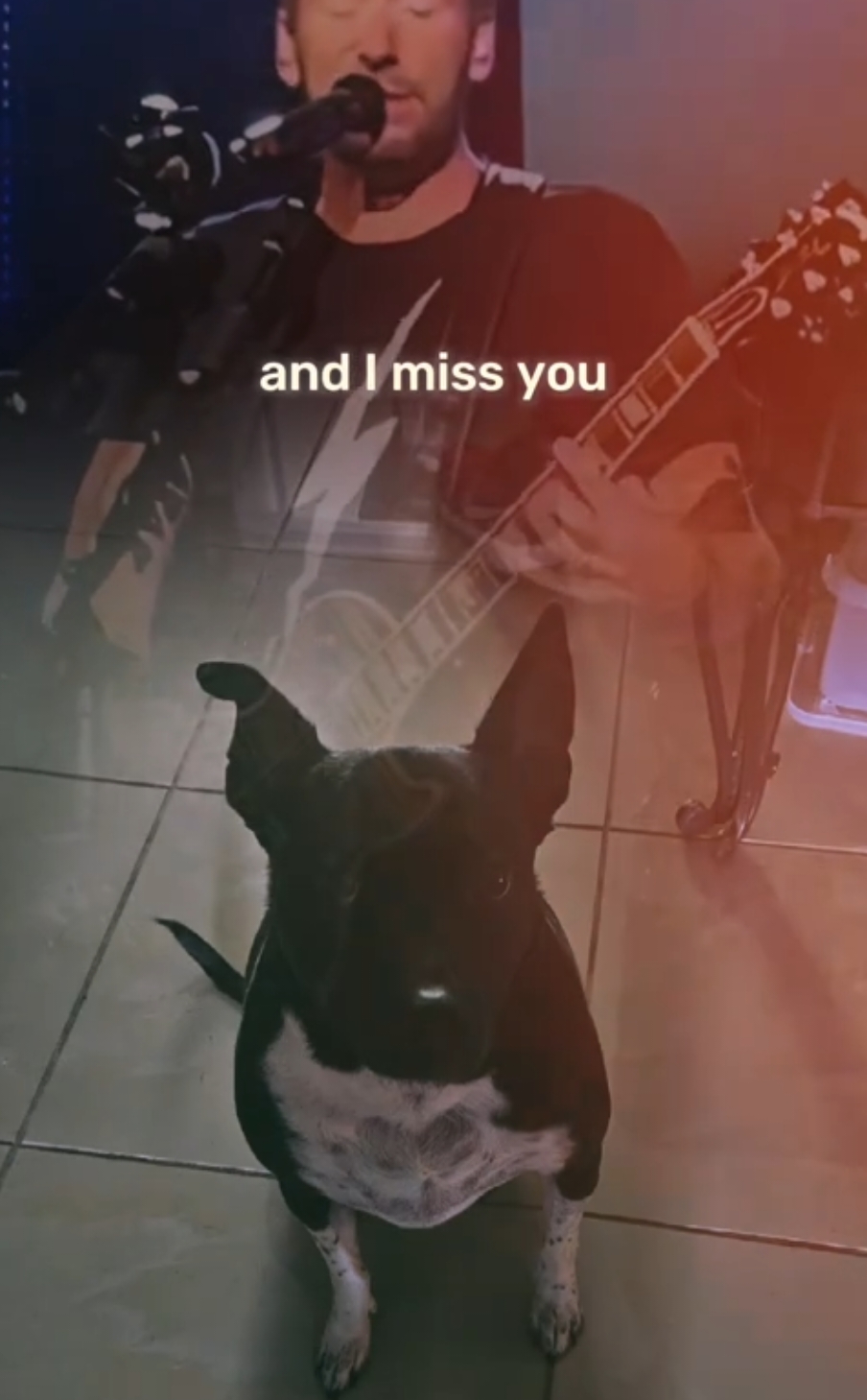 @Xander |-/