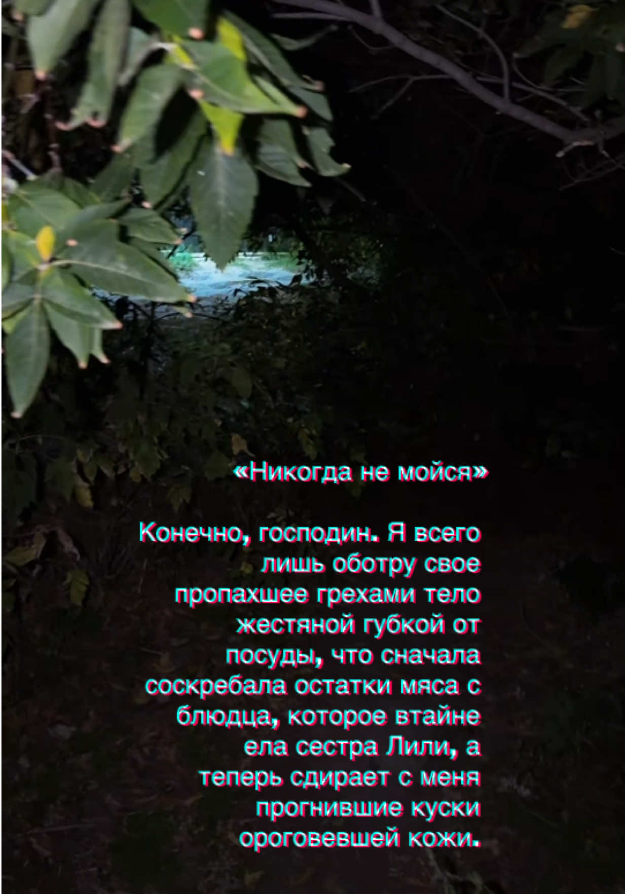 @Мирай 未来