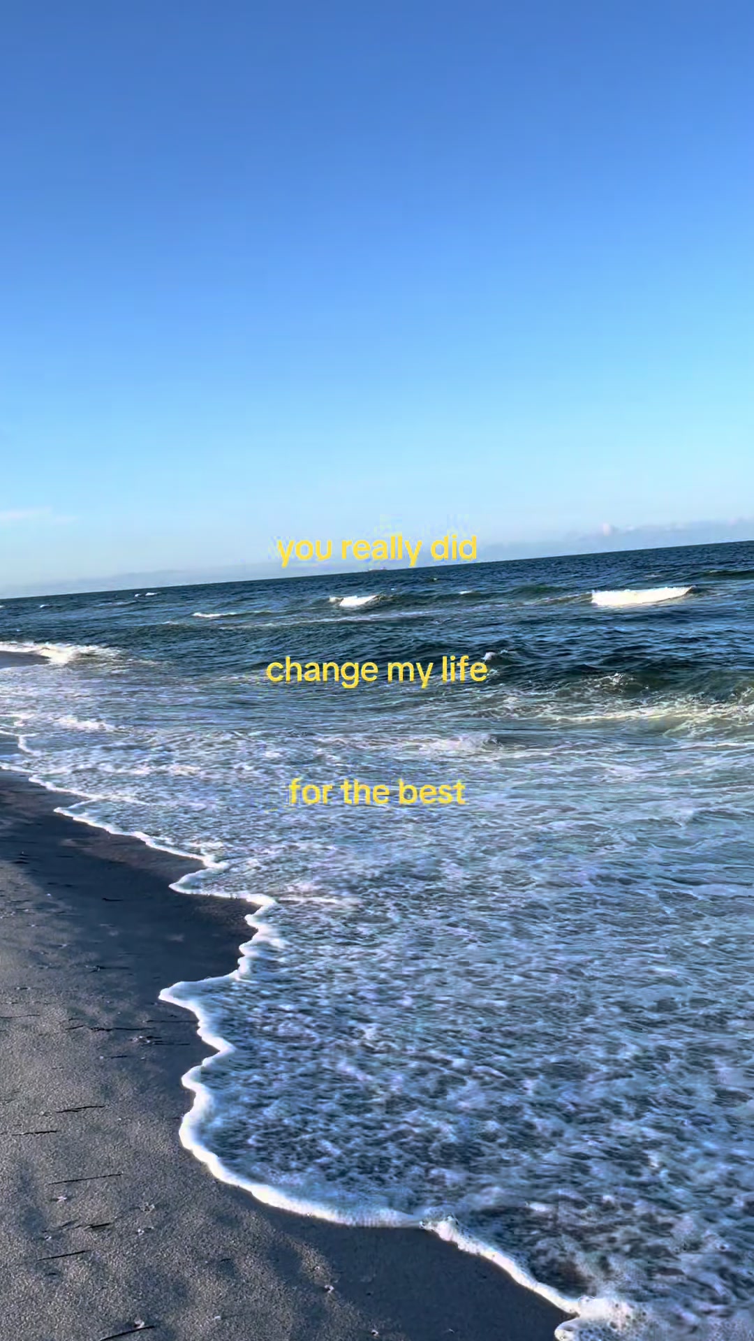 @🕊️