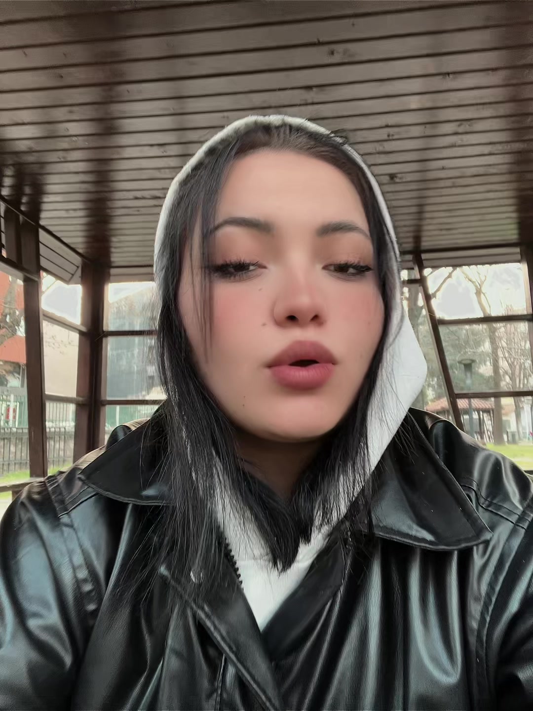 @s2vqii