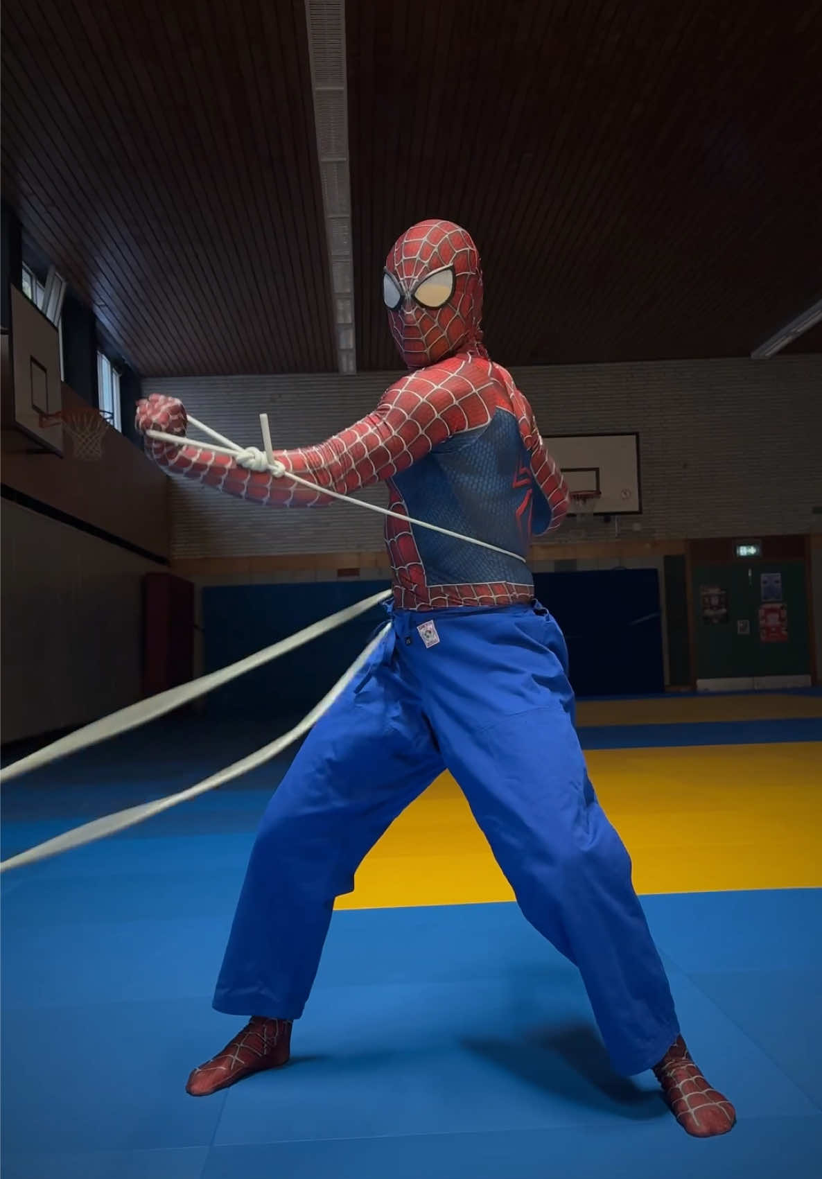 @Cyber-Judoka