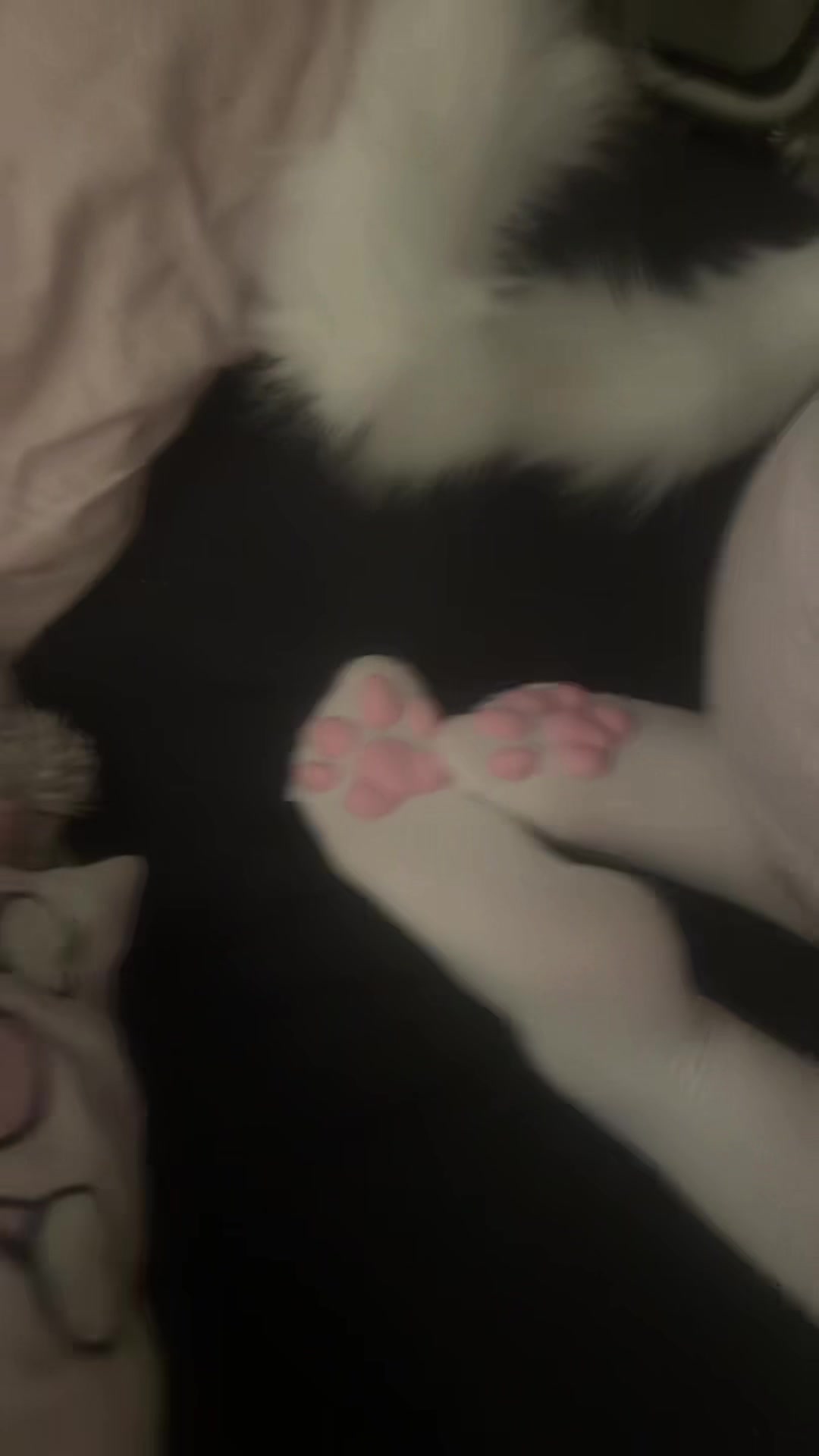@୨୧bunnii ☾° + ୨୧+