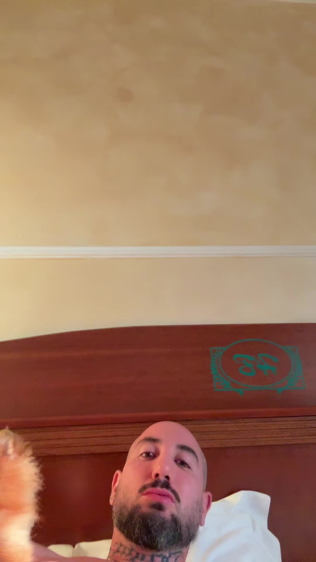 @Salvatore cacciuottolo