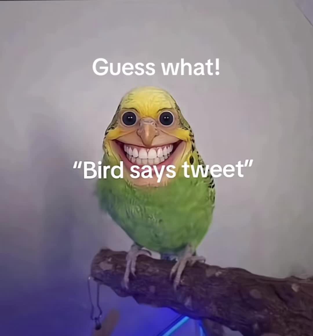@Mauricio😎👌