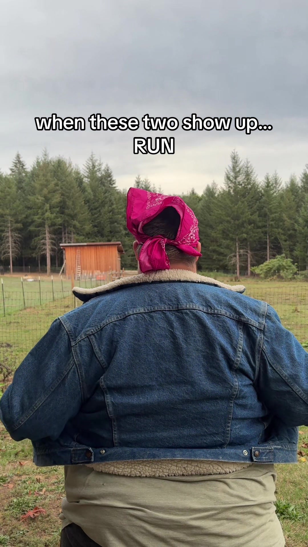 @wybielolll
