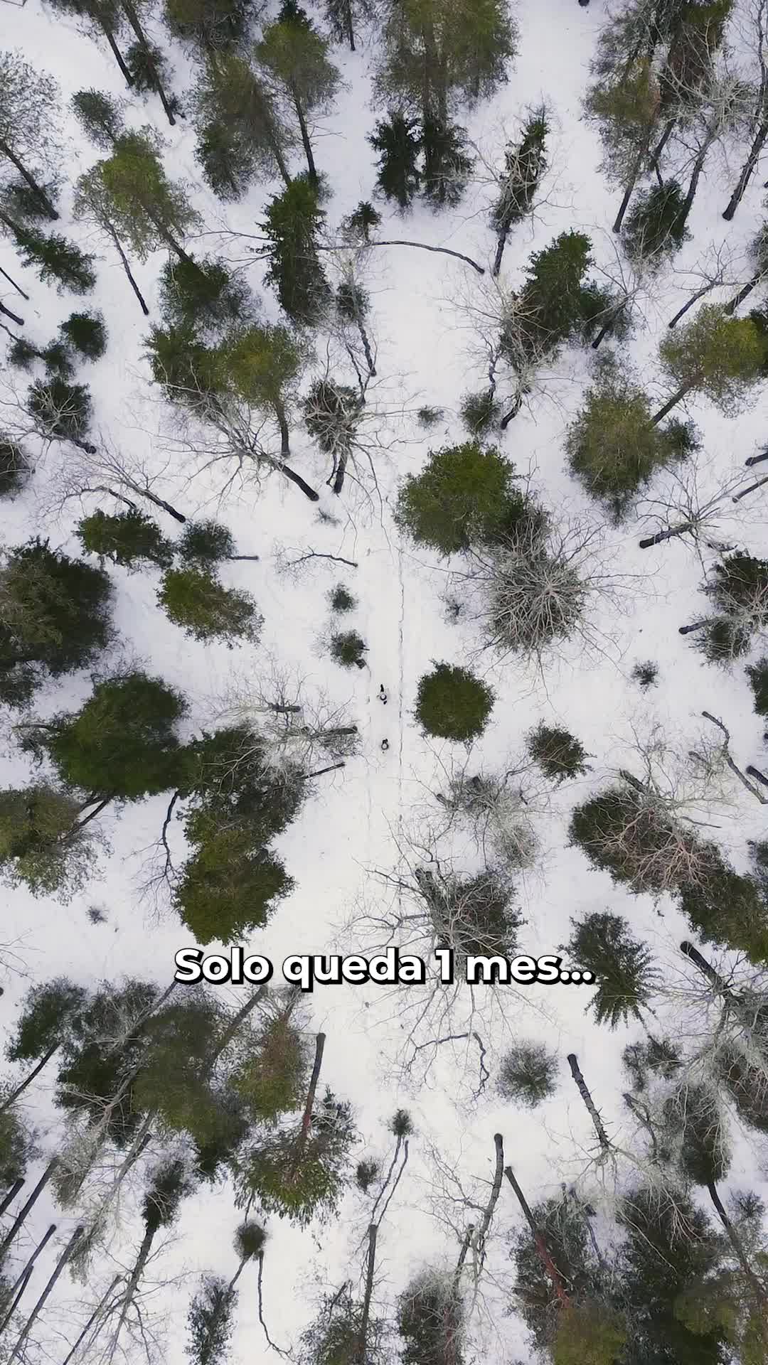 @Isaac & Bea