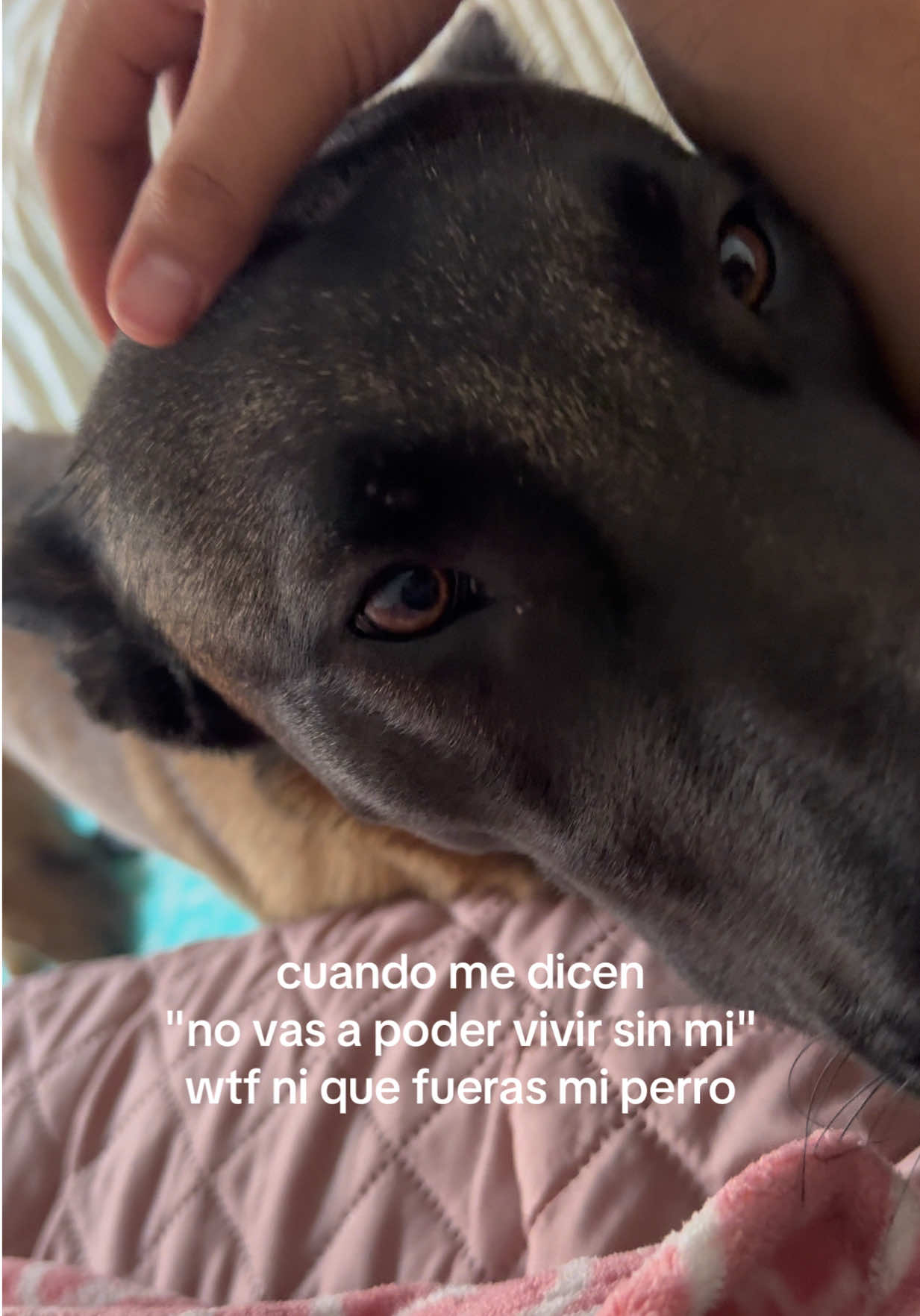 @☺︎