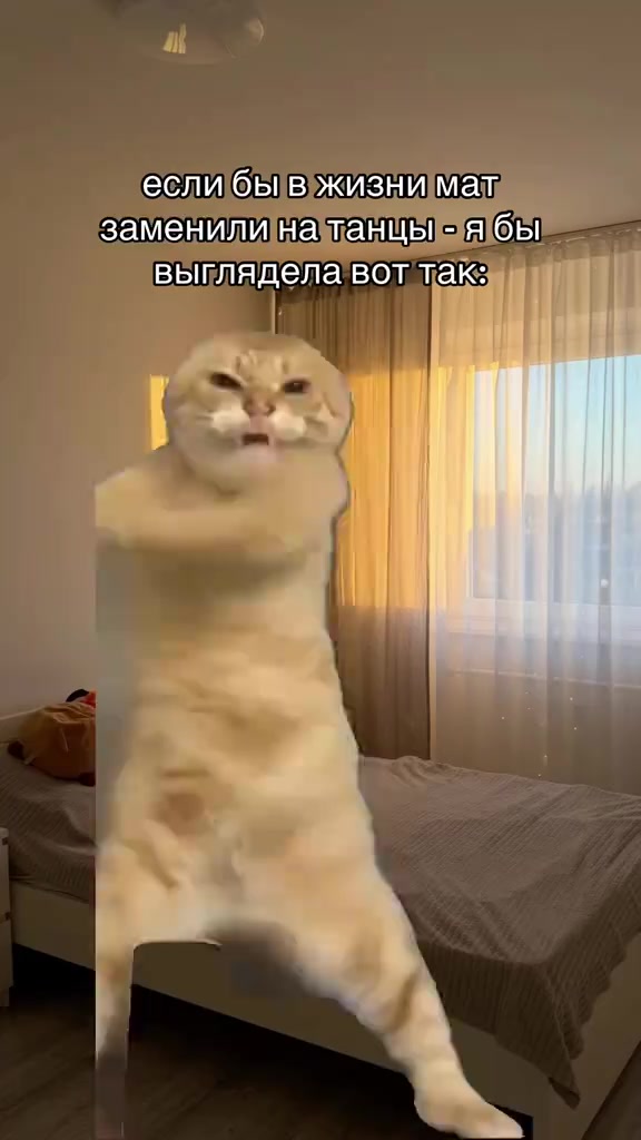 @†★†