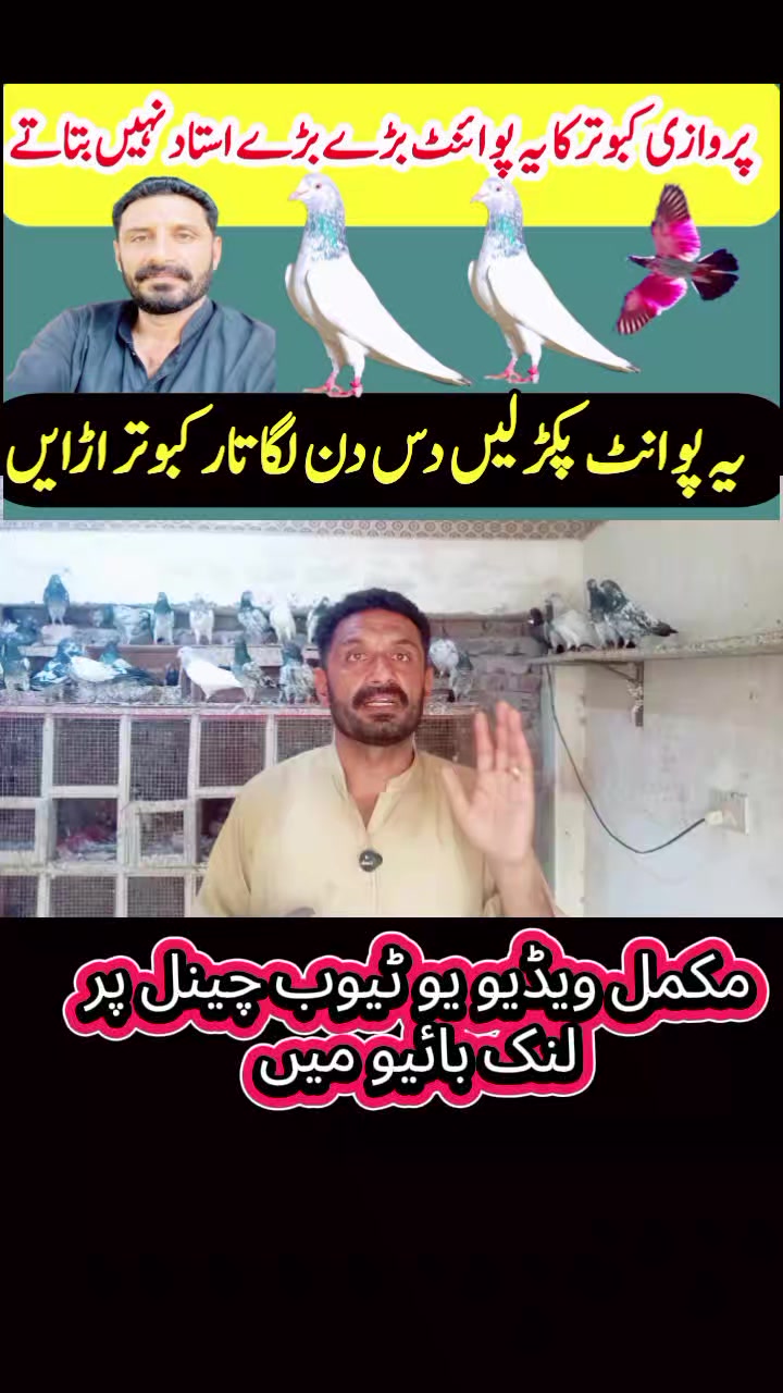 @KABOOTAR PARWAR VLOG