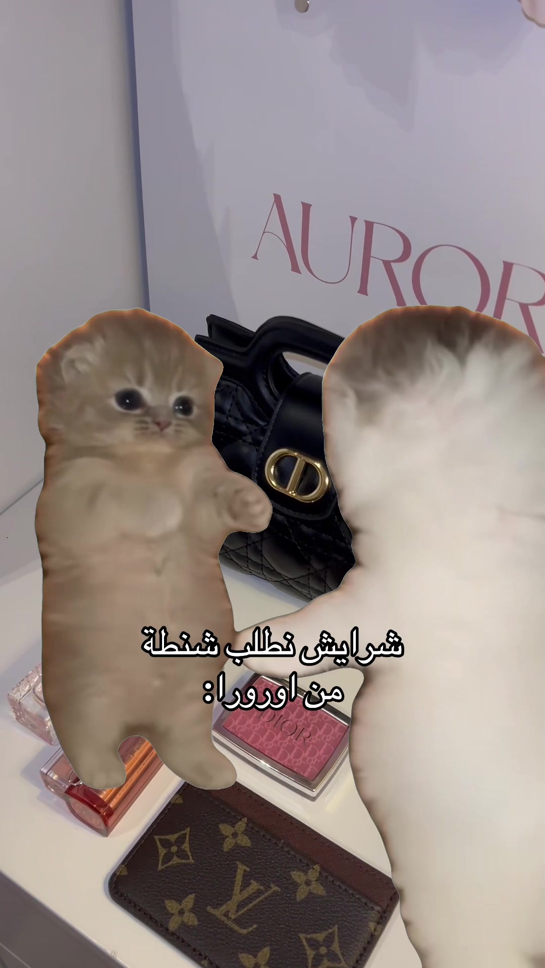 @Aurora store