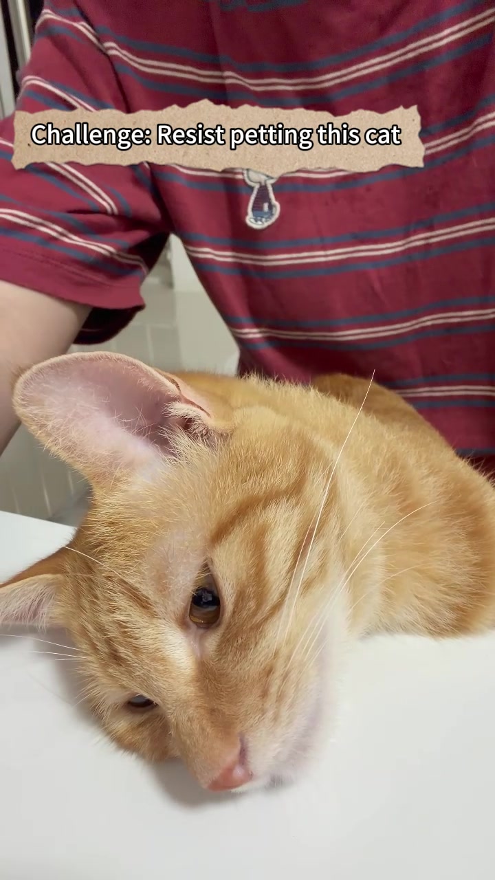 @MoewaiiCat
