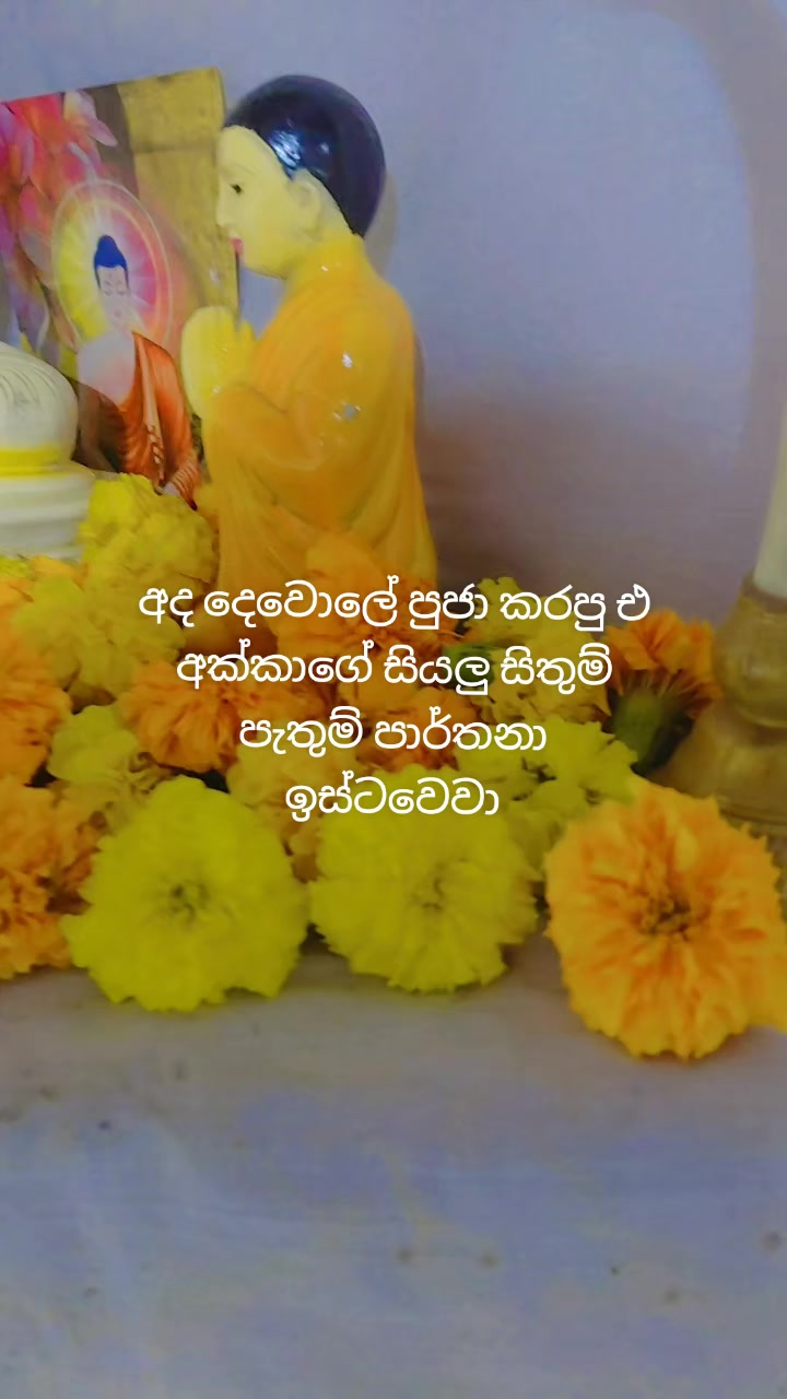 @අම්මා මැණීයෝ (black beauty)