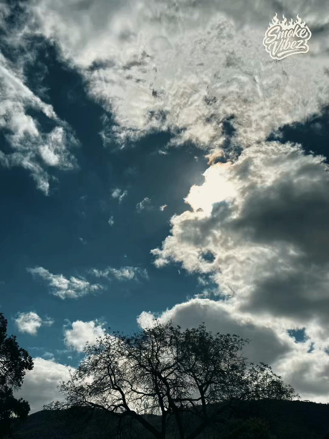 @SmokeVibez