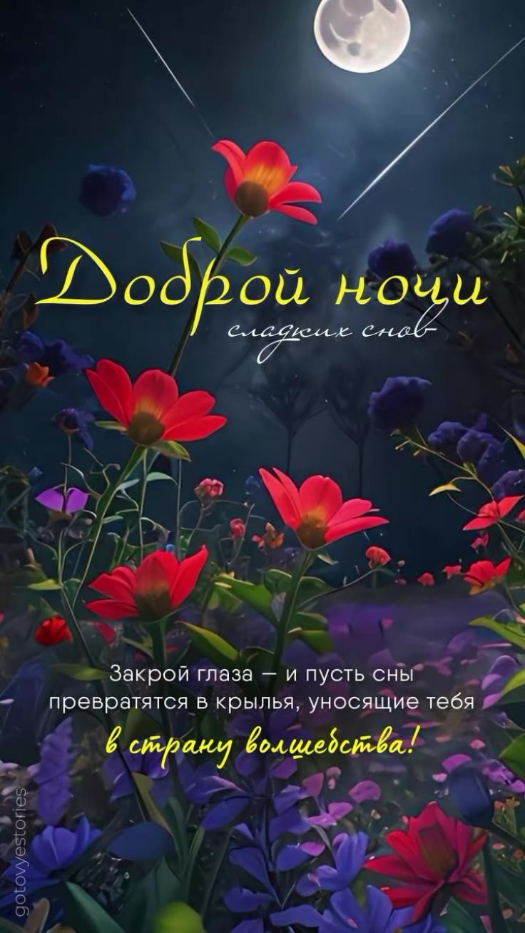 @Евдокия